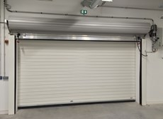 palorullaovi VR60